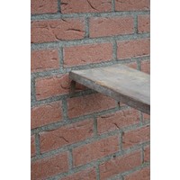 thumb-Ladder plateau voor tijdelijke steiger-3