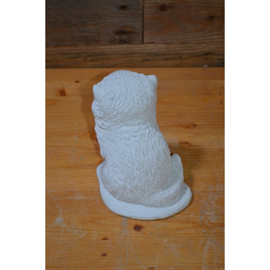 Vertederend betonnen beeldje van een kleine poes-5