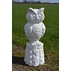 LoodsVol, Tuinbeelden Betonnen wijze uil op sokkel als tuinbeeld met veel details