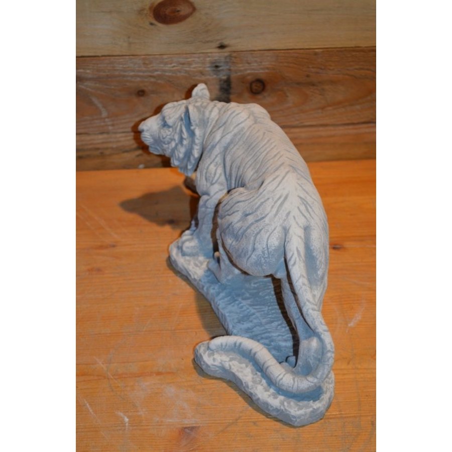 Tijger van beton die natuurgetrouw lijkt-5