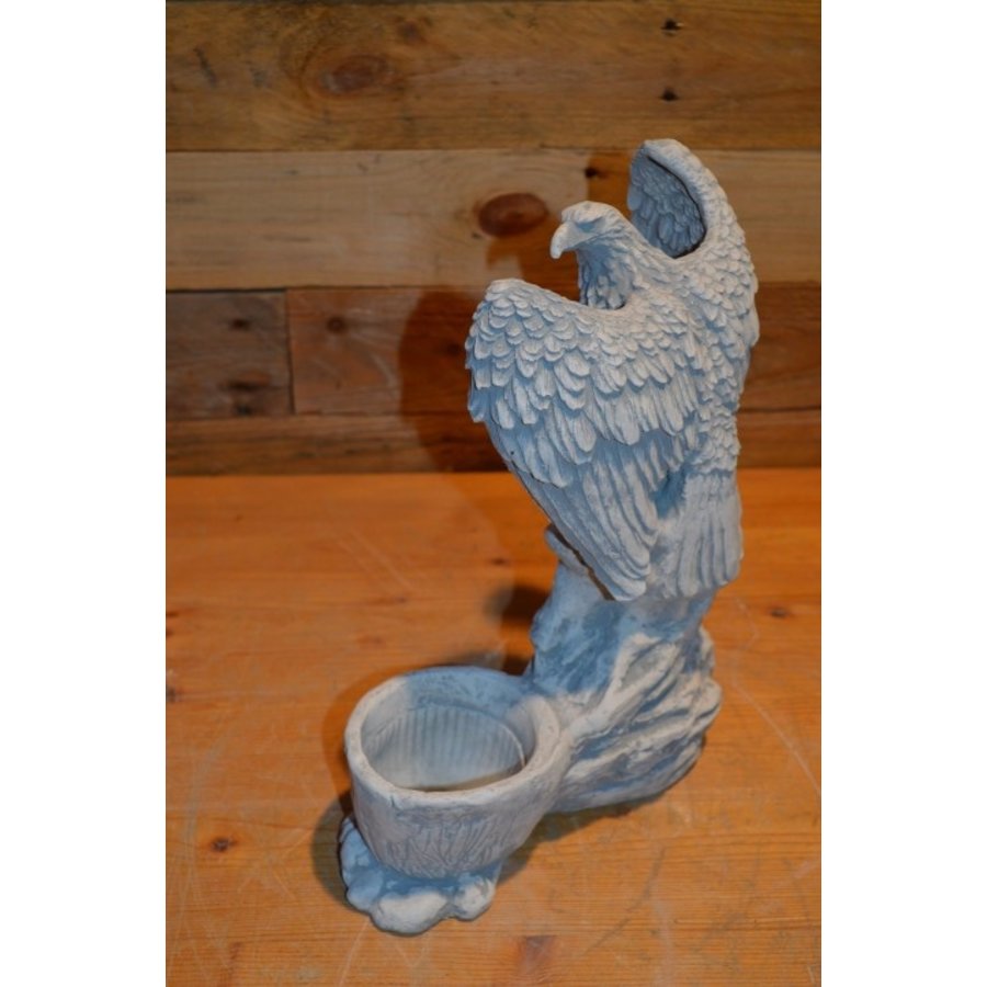 Adelaar met gespreide vleugels op rots naast betonnen bloempotje-4