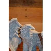 thumb-Adelaar met gespreide vleugels op rots naast betonnen bloempotje-5