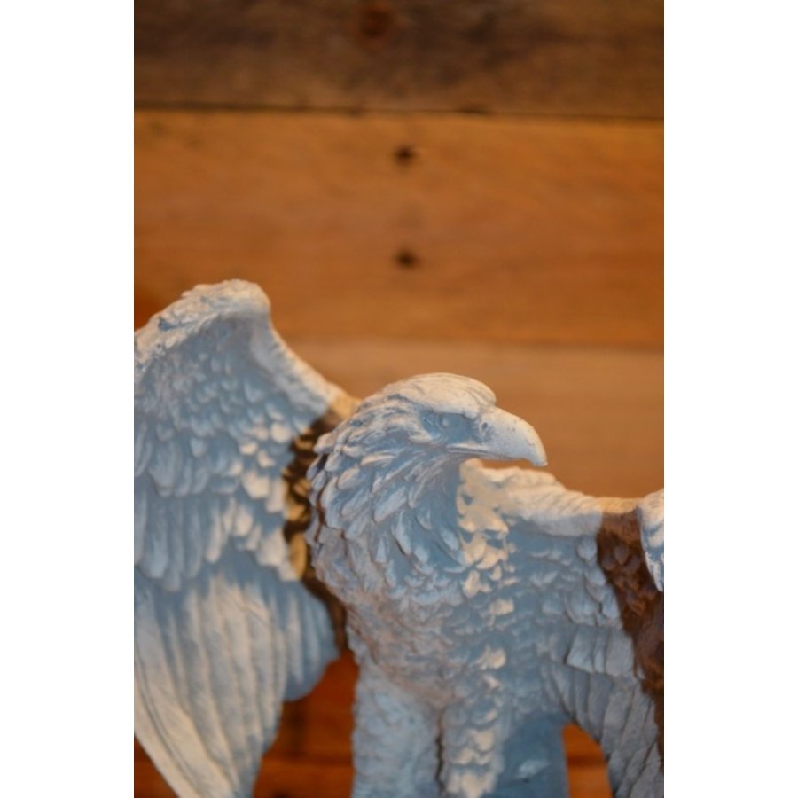 Adelaar met gespreide vleugels op rots naast betonnen bloempotje-5