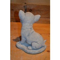 thumb-Zittende Chihuahua van beton met sprekende blik-4