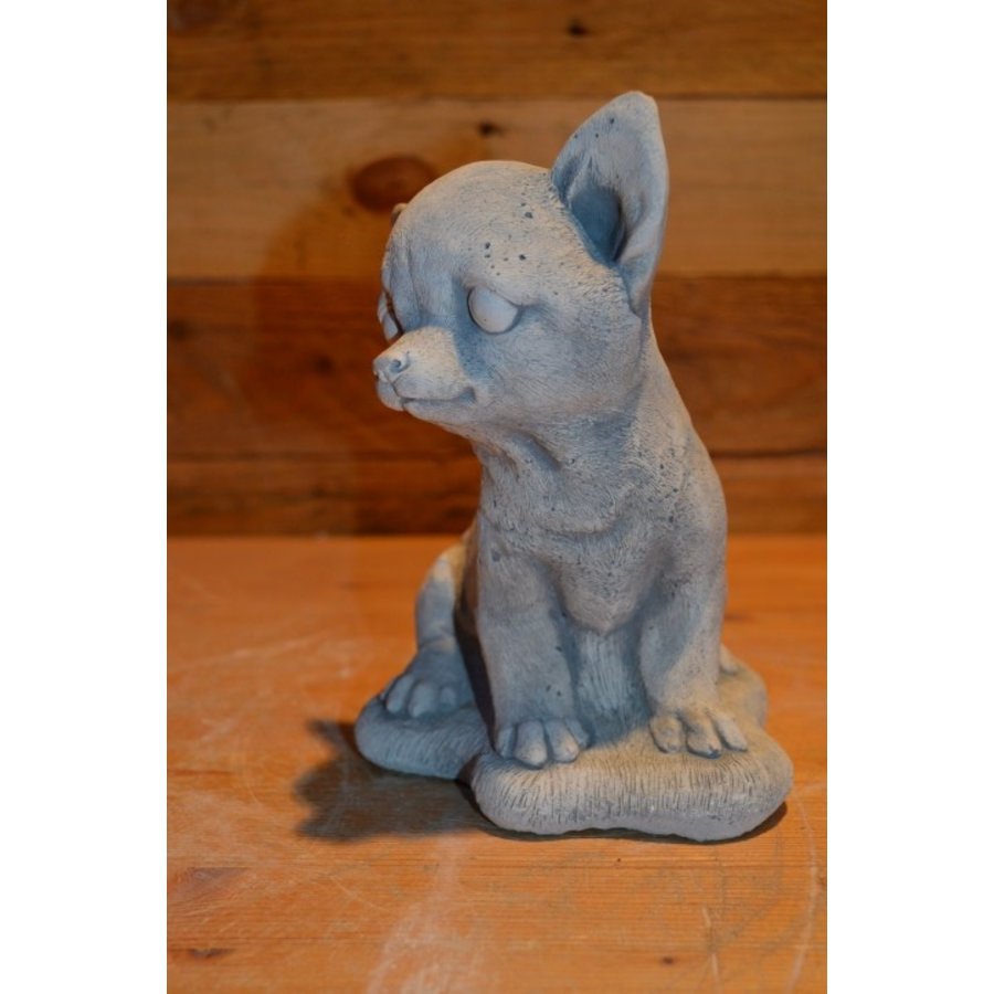 Zittende Chihuahua van beton met sprekende blik-2