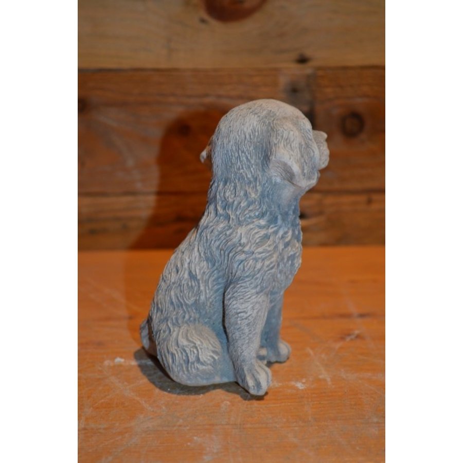 Klein betonnen hondje dat lijkt op een Golden Retriever-3