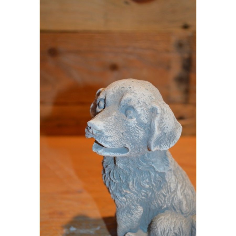 Klein betonnen hondje dat lijkt op een Golden Retriever-5