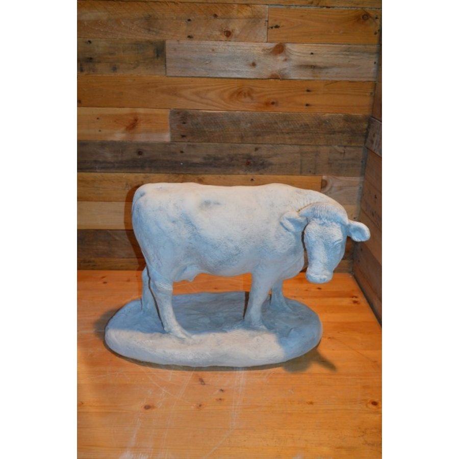 Betonnen koe die naar rechts kijkt, natuurgetrouw tuinbeeld-1