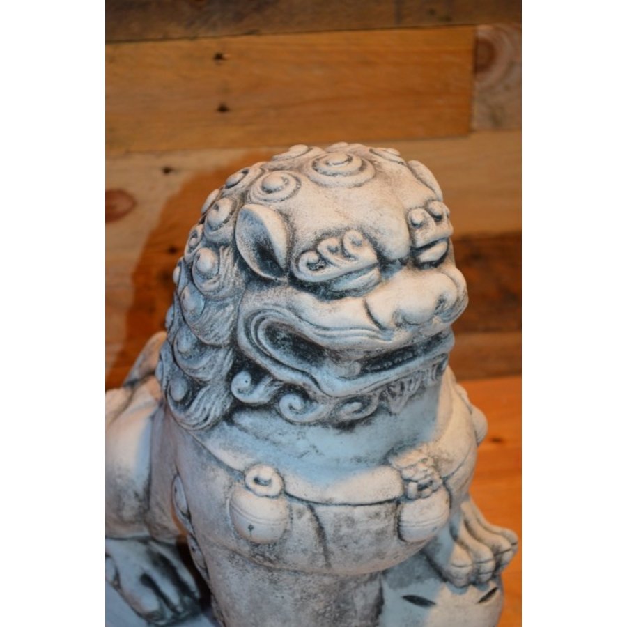 Chinese tempel leeuw met een bal onder linker poot-5
