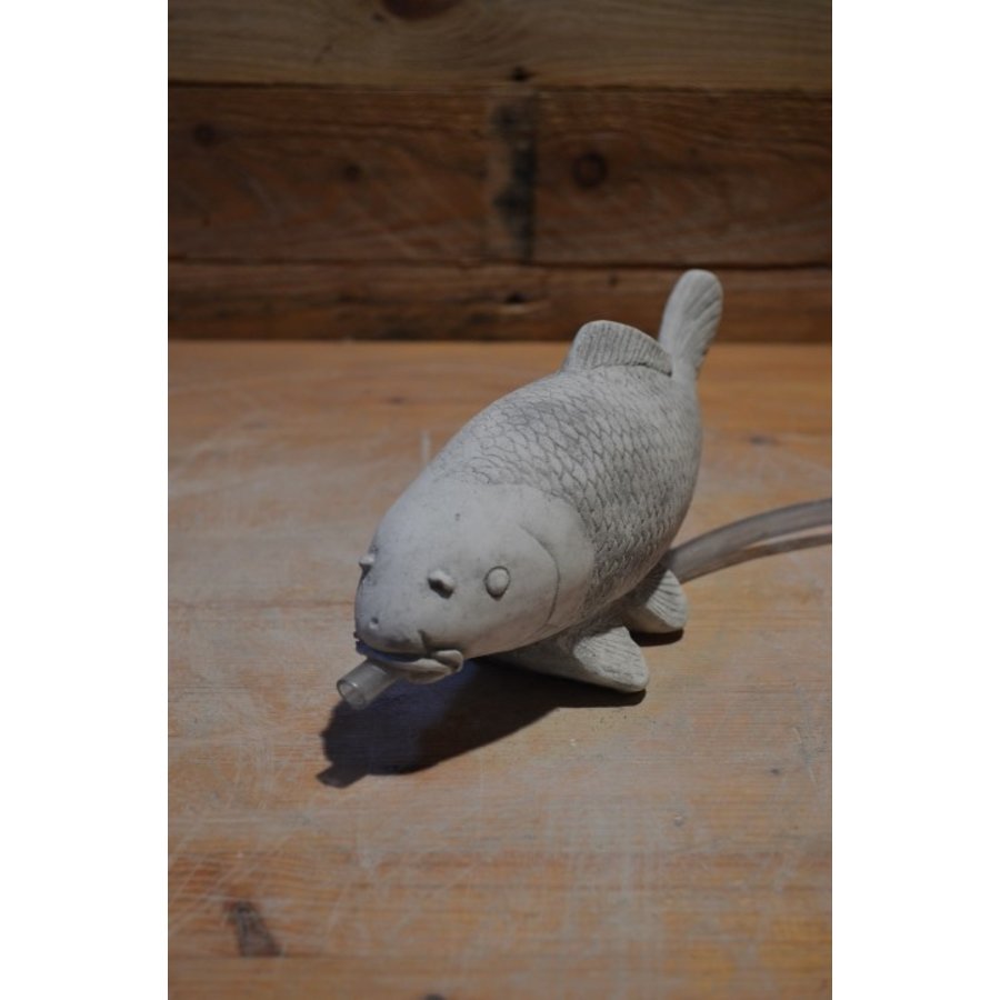 Kleine betonnen Koi karper – vijverbeeld met slang voor waterdoorvoer-3