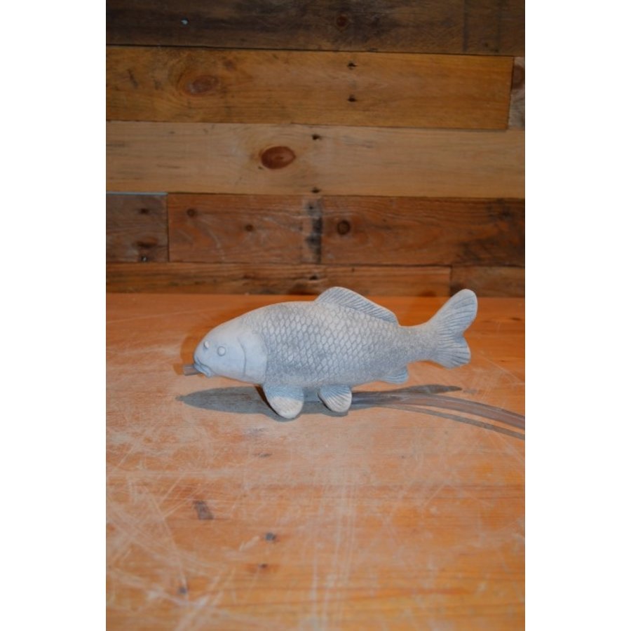 Kleine betonnen Koi karper – vijverbeeld met slang voor waterdoorvoer-1