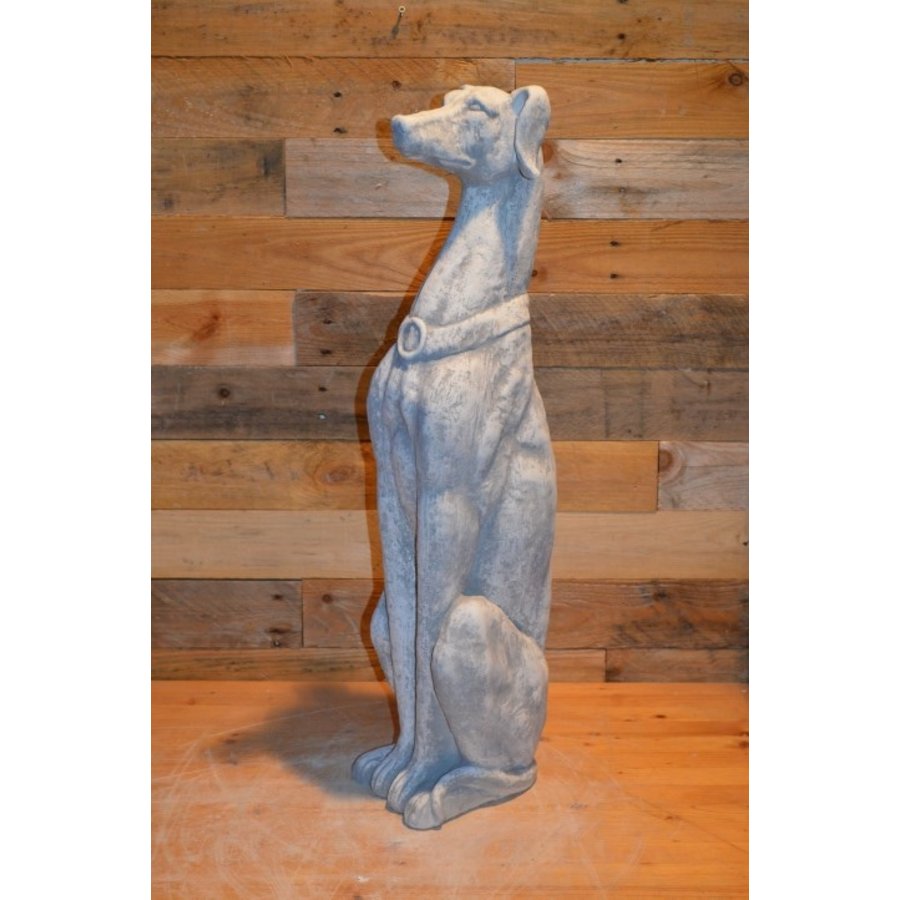 Betonnen hazewindhond – beeld van Greyhound of Galgo-1