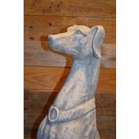 thumb-Galgo Greyhound of hazewind hond-2