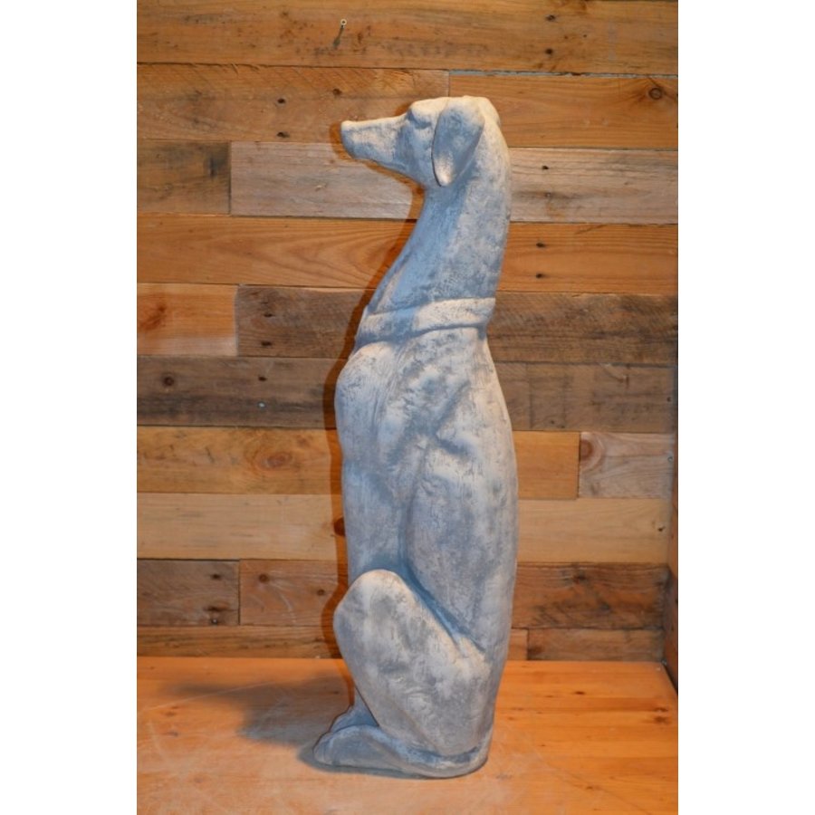 Betonnen hazewindhond – beeld van Greyhound of Galgo-3