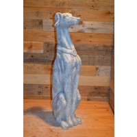 thumb-Galgo Greyhound of hazewind hond-6