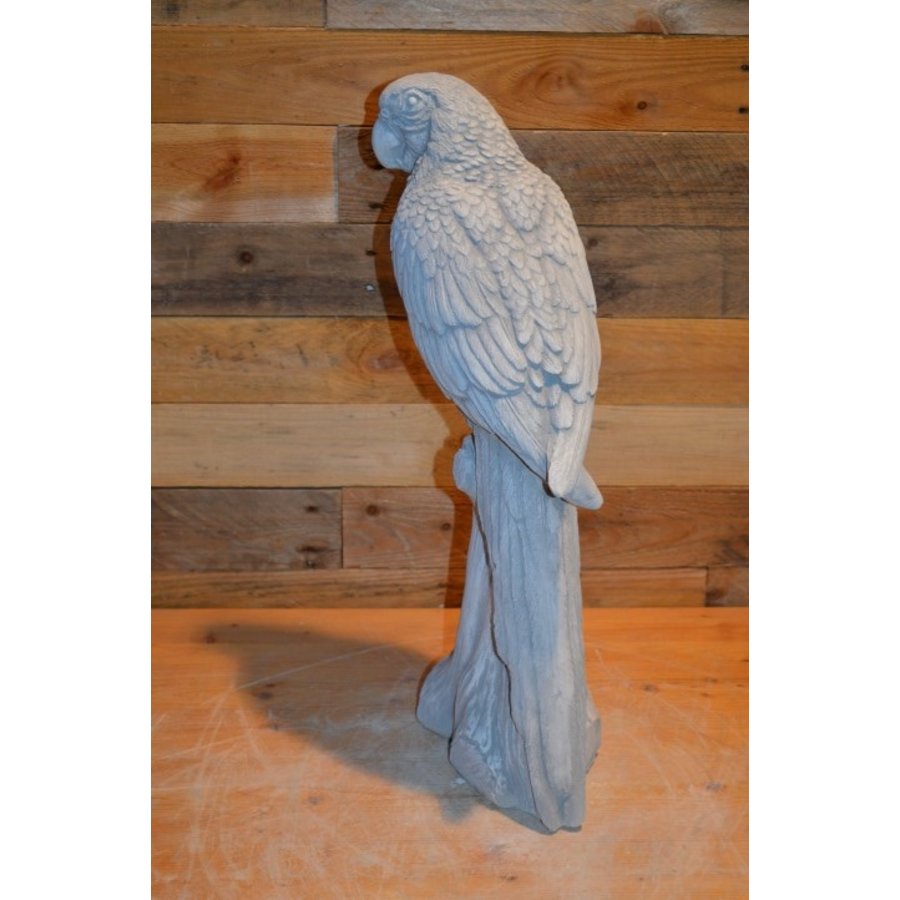 Betonnen papegaai op boomstronk – decoratiebeeld voor binnen of buiten-2