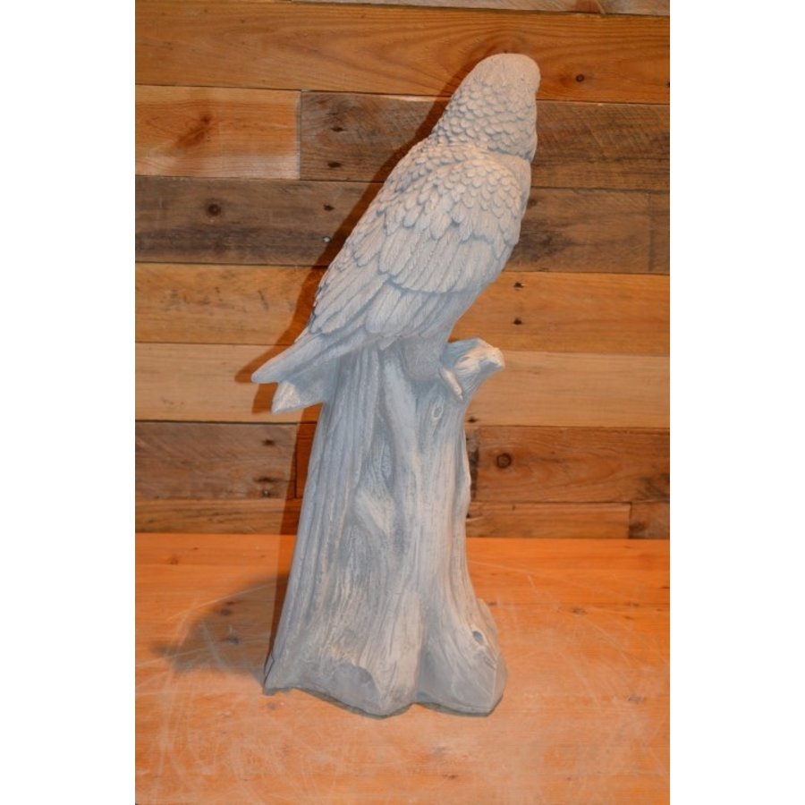 Betonnen papegaai op boomstronk – decoratiebeeld voor binnen of buiten-3