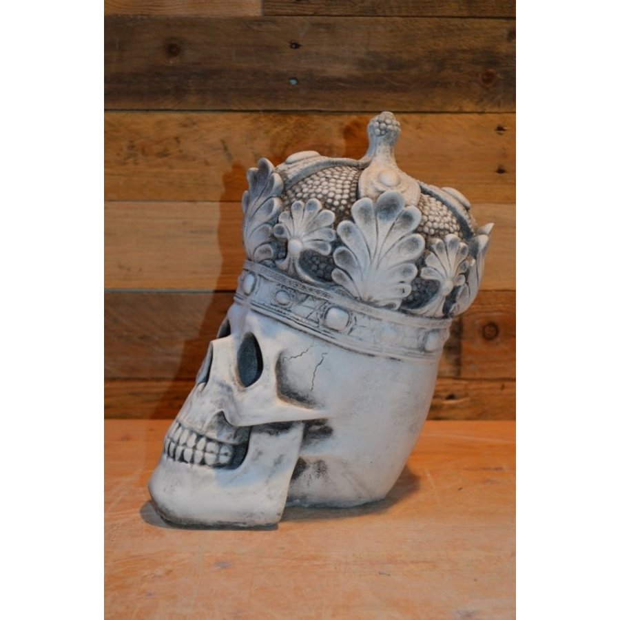 Betonnen schedel met koninklijke kroon en sierlijke bladeren-2