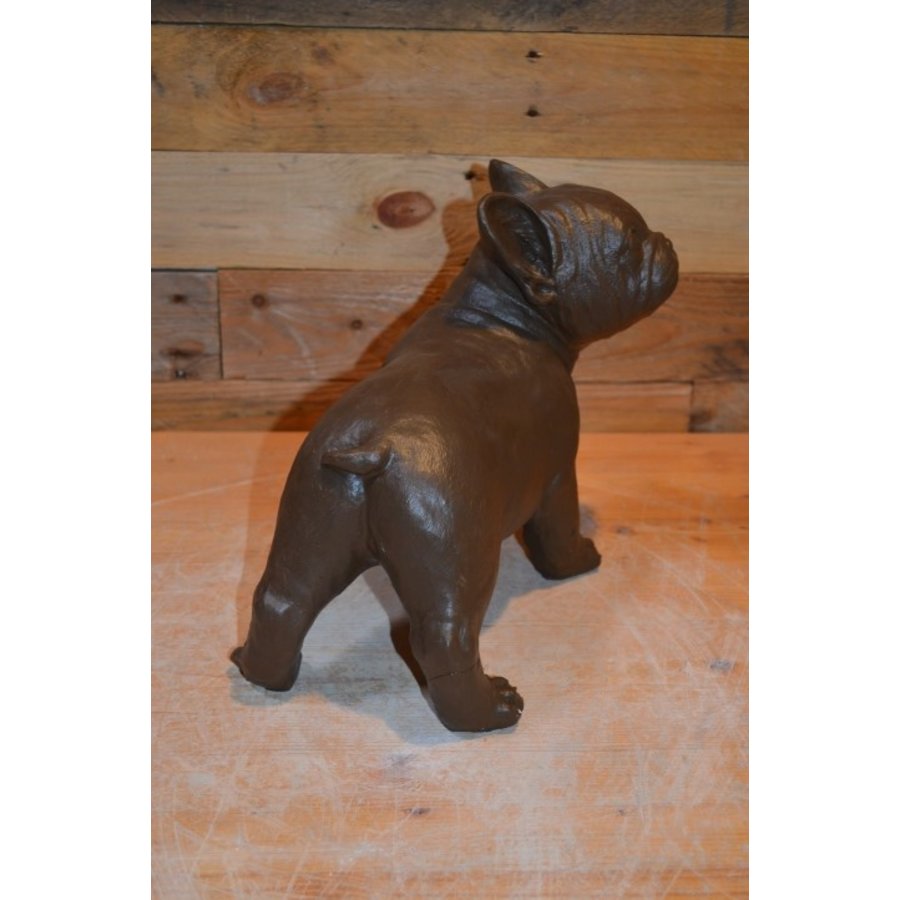Betonnen Franse Buldog – gestileerd showmodel in bruine kleur-2