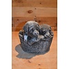LoodsVol, Tuinbeelden Betonnen beeld puppy’s in plantenbakje decoratief