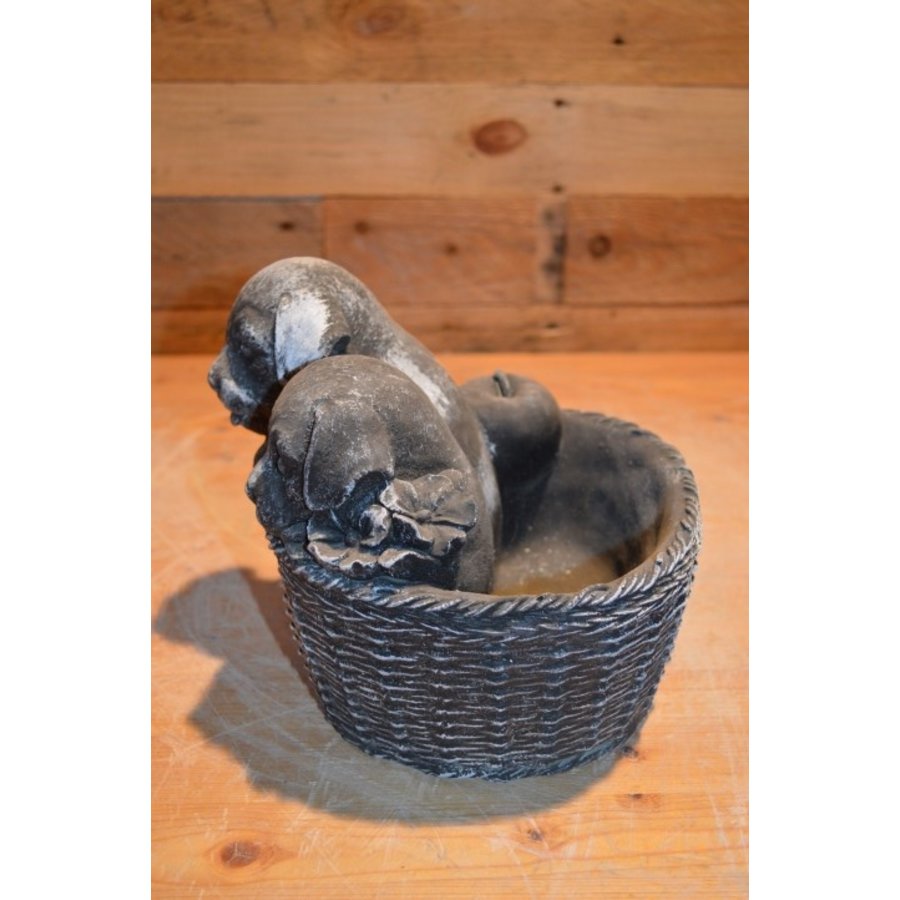 Betonnen beeld puppy’s in plantenbakje decoratief-2