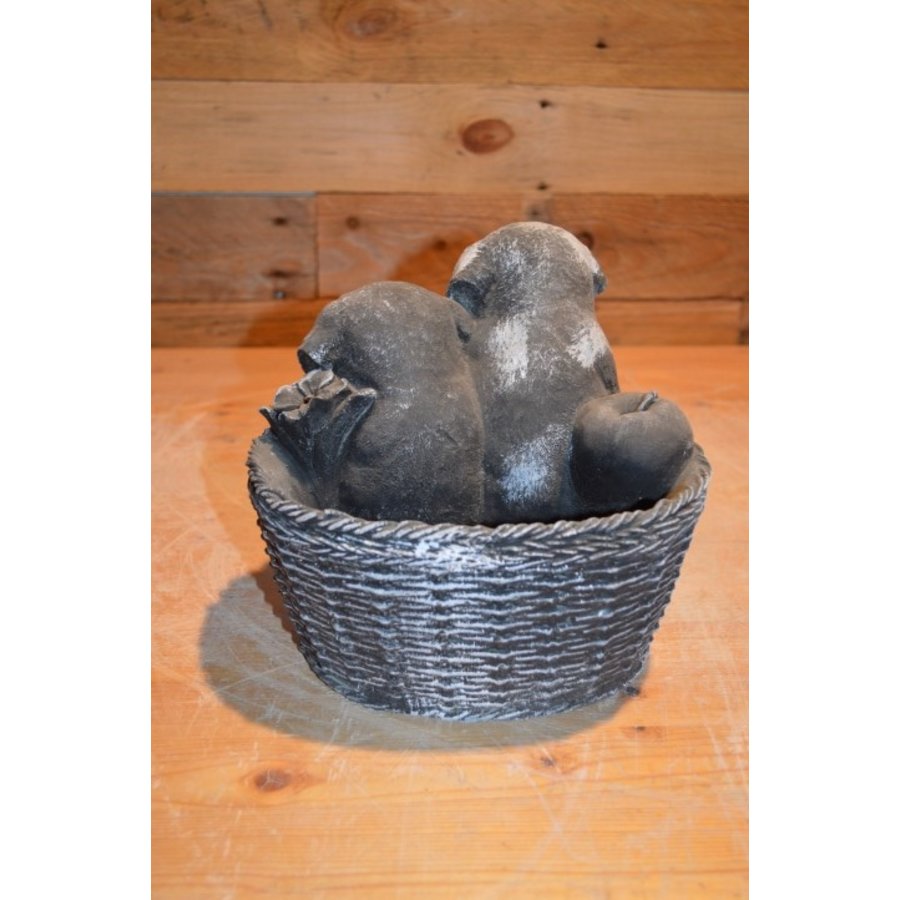 Betonnen beeld puppy’s in plantenbakje decoratief-3