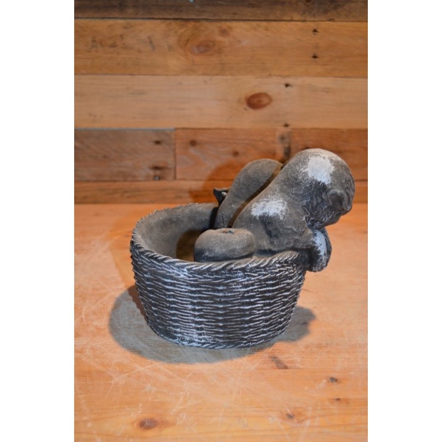 Betonnen beeld puppy’s in plantenbakje decoratief-4
