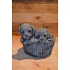 LoodsVol, Tuinbeelden Gietsteen beeld puppy’s in plantenbakje met appel
