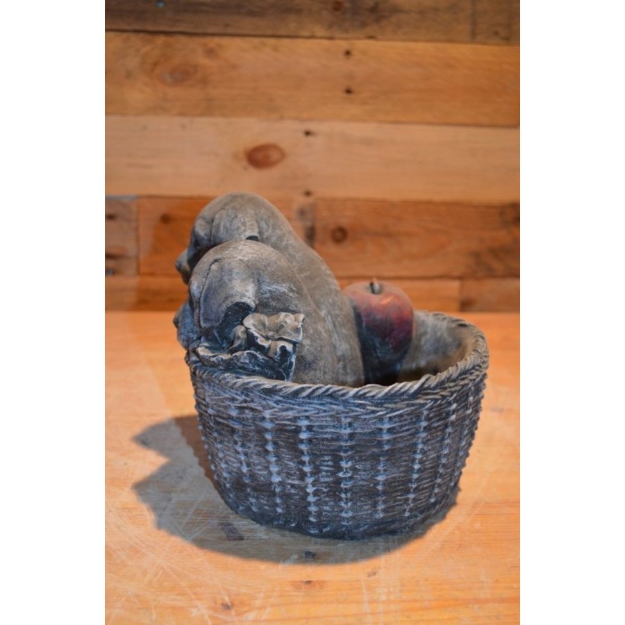 Gietsteen beeld puppy’s in plantenbakje met appel-2
