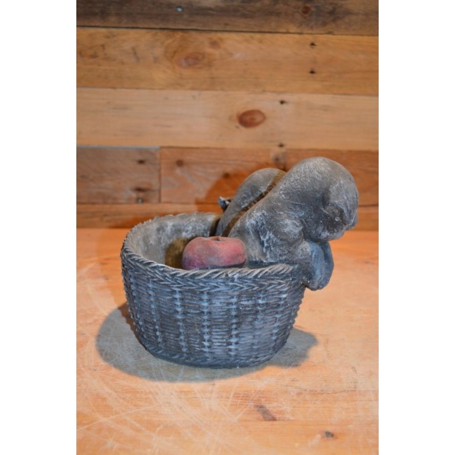 Gietsteen beeld puppy’s in plantenbakje met appel-4
