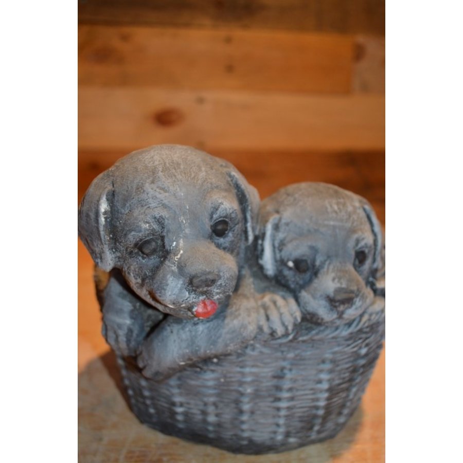 Gietsteen beeld puppy’s in plantenbakje met appel-5