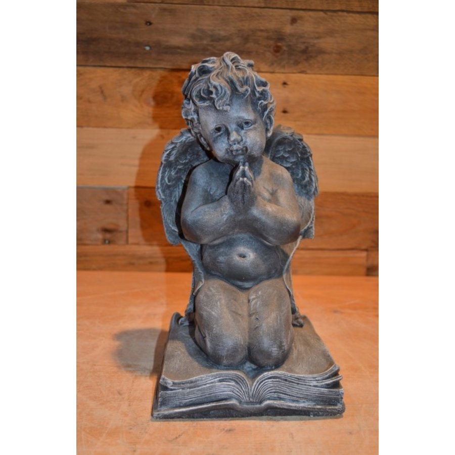 Betonnen beeld van een engel met gevouwen handen op een bijbel-1