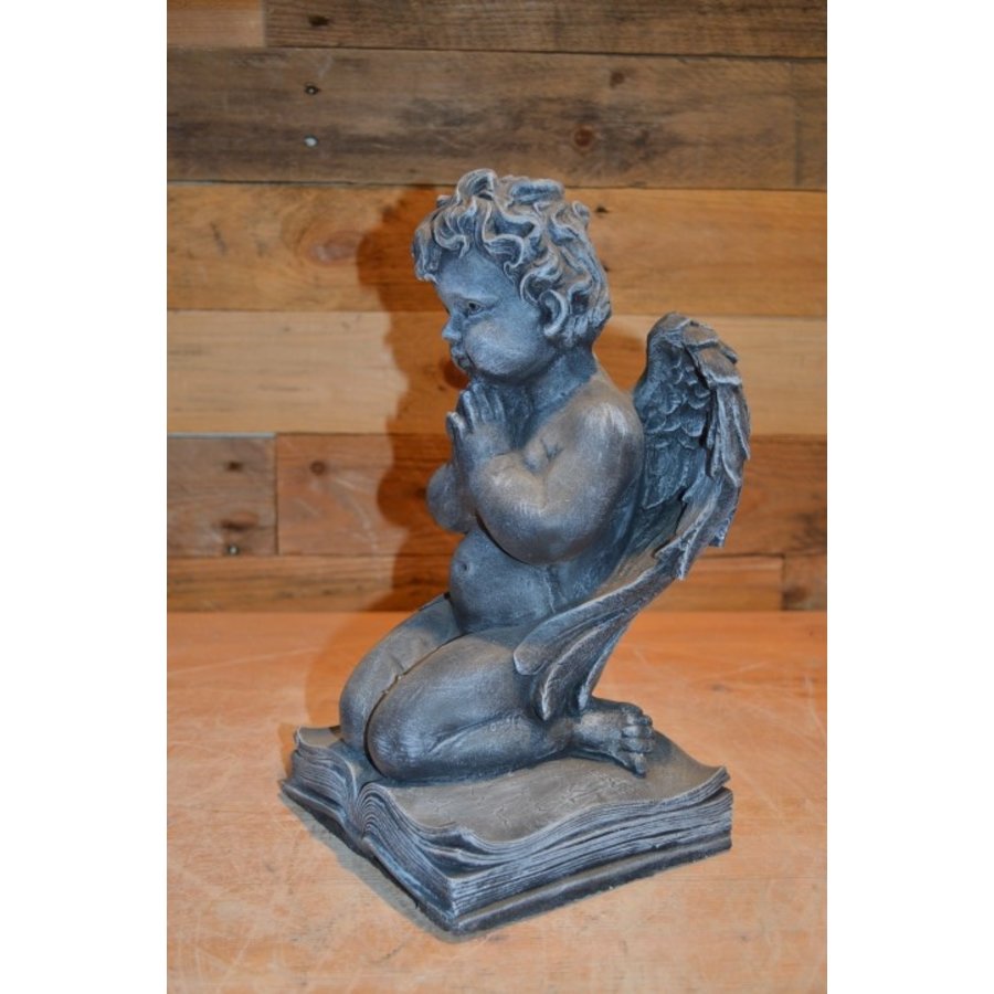 Betonnen beeld van een engel met gevouwen handen op een bijbel-2