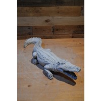 thumb-krokodil, Alligator of kaaiman-2