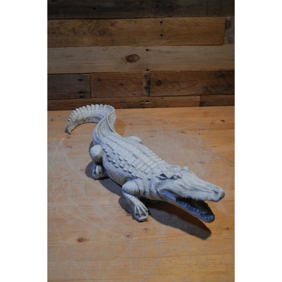 Betonnen beeld krokodil – decoratief tuinbeeld-1