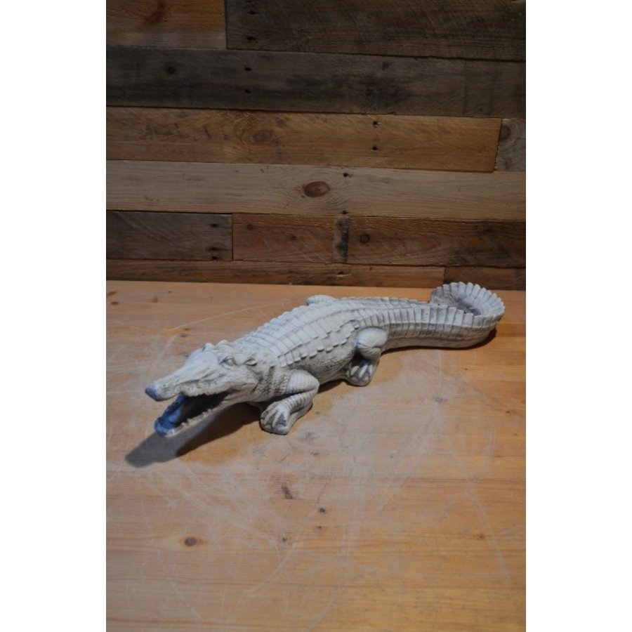 krokodil, Alligator of kaaiman-1