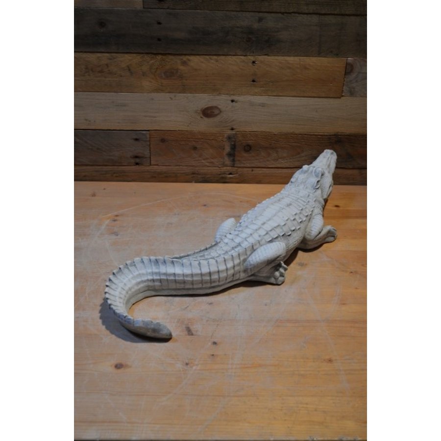 Betonnen beeld krokodil – decoratief tuinbeeld-3