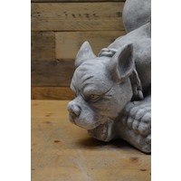 thumb-Vleerhond-3