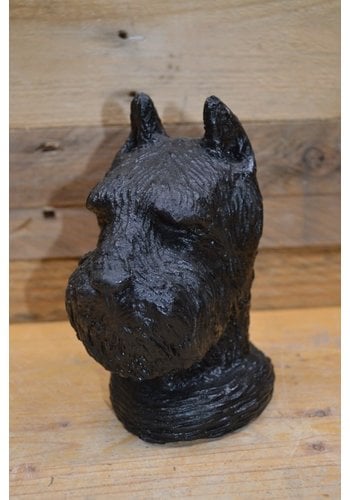 Betonnen beeld Schnauzer hondenkop 
