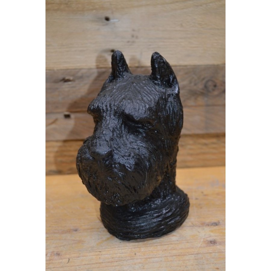 Betonnen hondenkop van een Schnauzer – zwart beeldje voor binnen of buiten-1