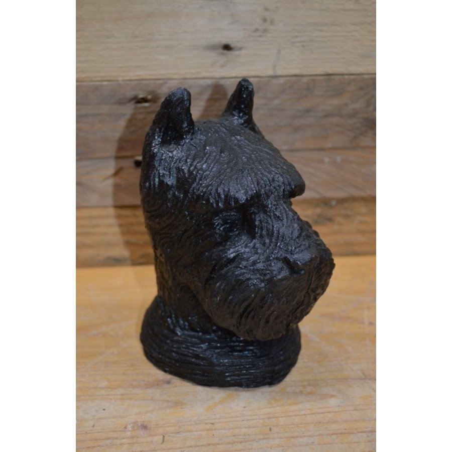 Betonnen hondenkop van een Schnauzer – zwart beeldje voor binnen of buiten-2