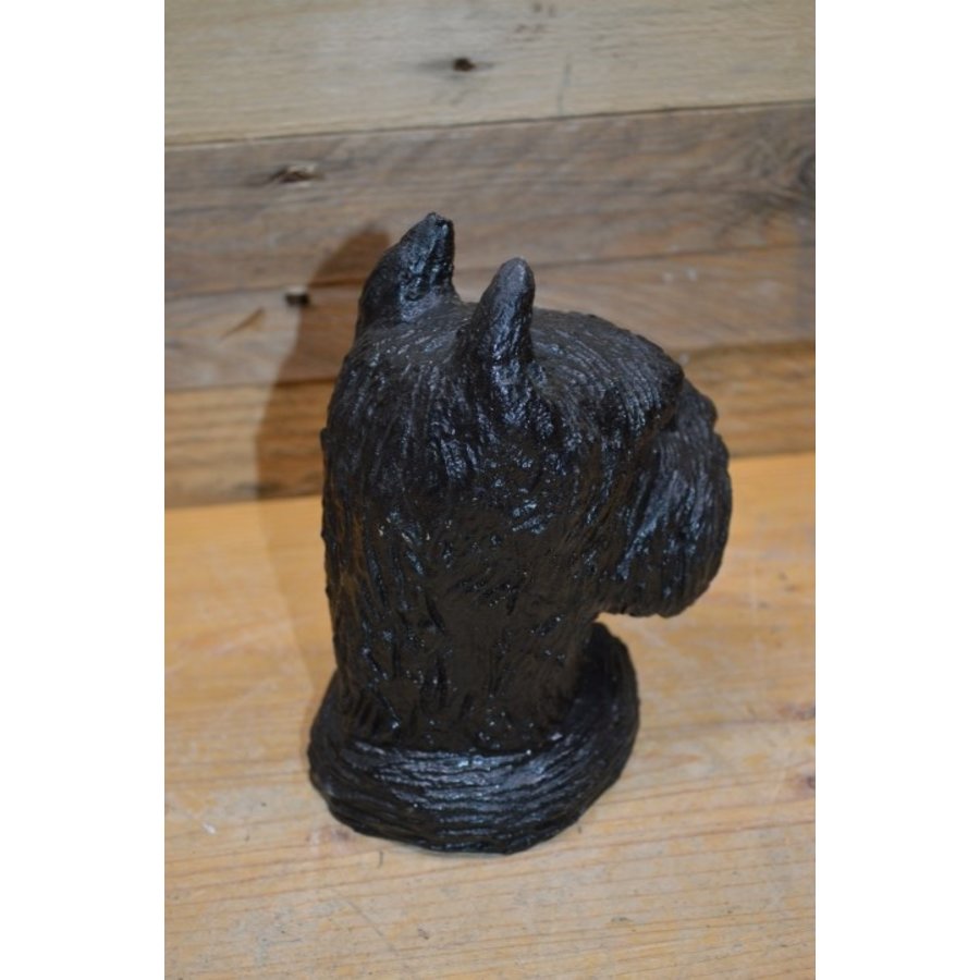 Betonnen hondenkop van een Schnauzer – zwart beeldje voor binnen of buiten-3