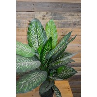 thumb-Grote kunstplant Dieffenbachia-4
