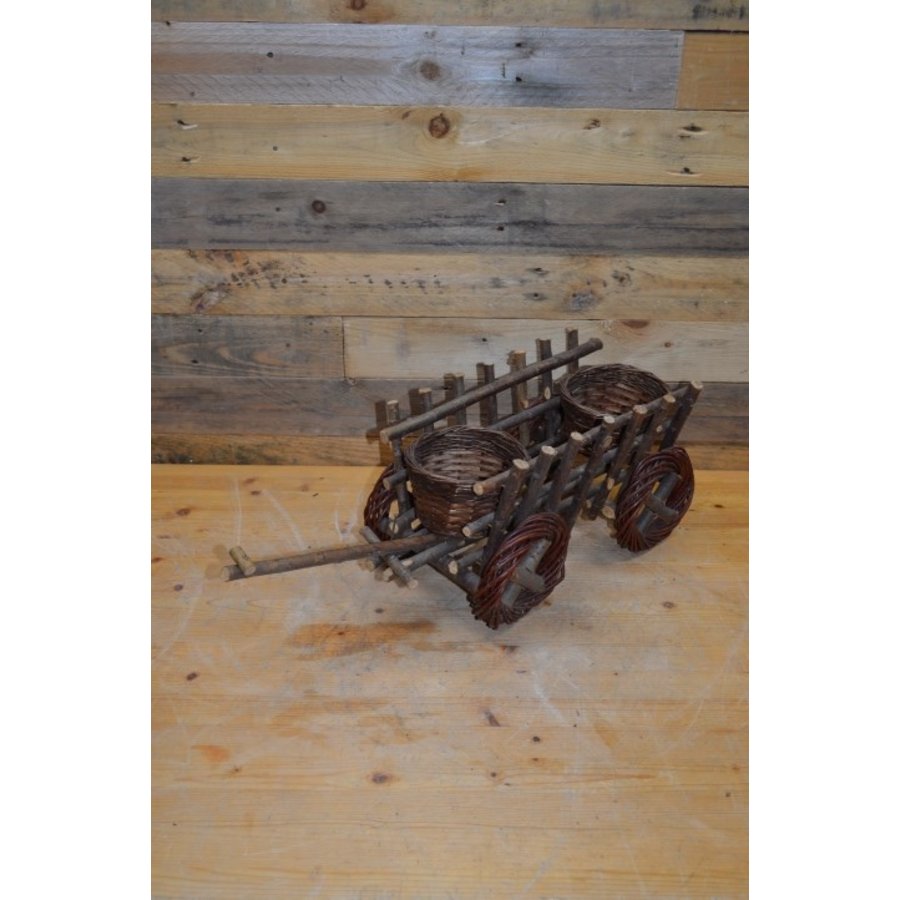 Wagen voor plantjes-1