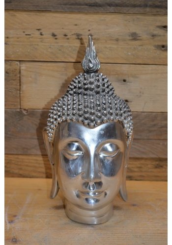 Shiva hoofd chroom kleur 