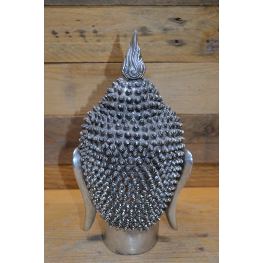 Shiva hoofd chroom kleur-3