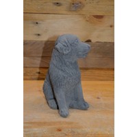 thumb-Zittende Labrador hond-2