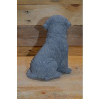 thumb-Zittende Labrador hond-3