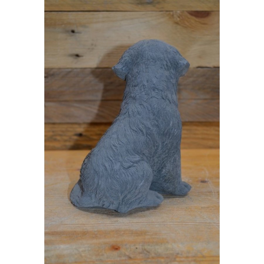 Betonnen zittende Labrador – tuinbeeld en aandenken aan uw hond-3