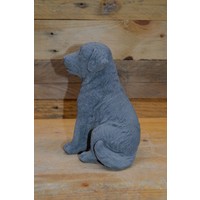thumb-Zittende Labrador hond-4